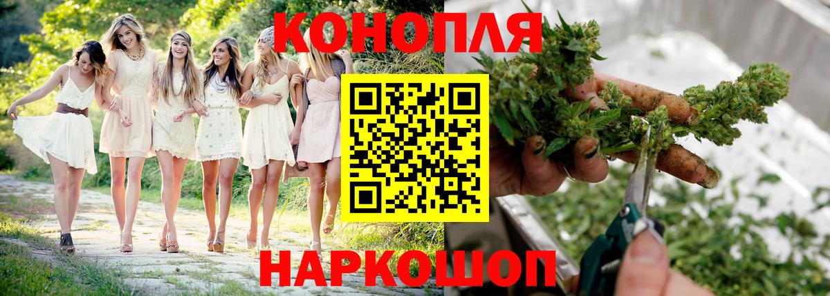 Шишки марихуана семена Барабинск